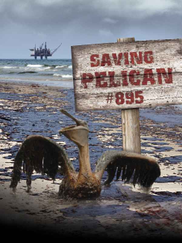 Saving Pelican 895 Poster 3