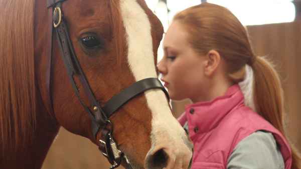 Saving Sloane Poster 2