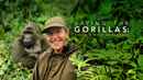 Saving the Gorillas: Ellen's Next Adventure Poster 2