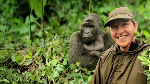 Saving the Gorillas: Ellen's Next Adventure Poster 1