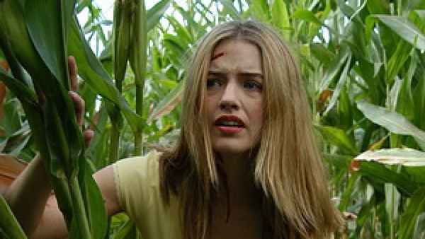 Scarecrow Gone Wild Poster 4