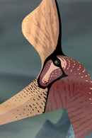 Sea and Sky Poster 2