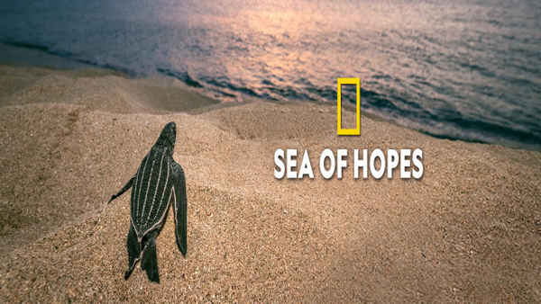 Sea of Hope: America's Underwater Treasures Poster 4
