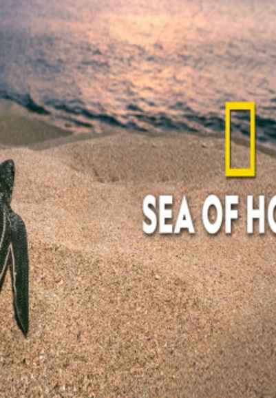 Sea of Hope: America's Underwater Treasures