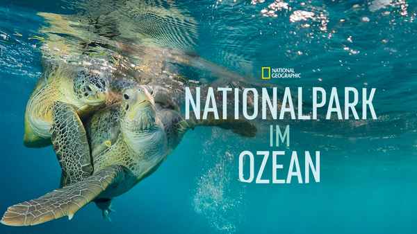 Sea of Hope: America's Underwater Treasures Poster 2