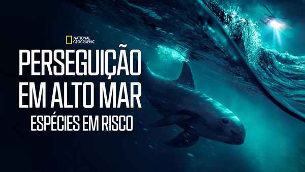 Sea of Shadows Poster 1