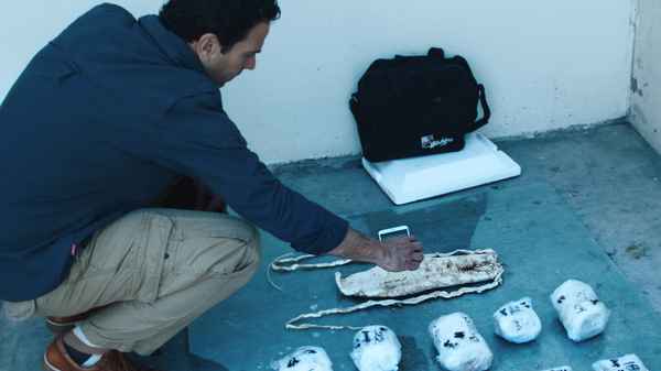 Sea of Shadows Poster 2