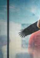 Searching For Sheela Poster 5