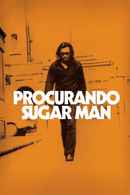 Searching for Sugar Man Poster 5