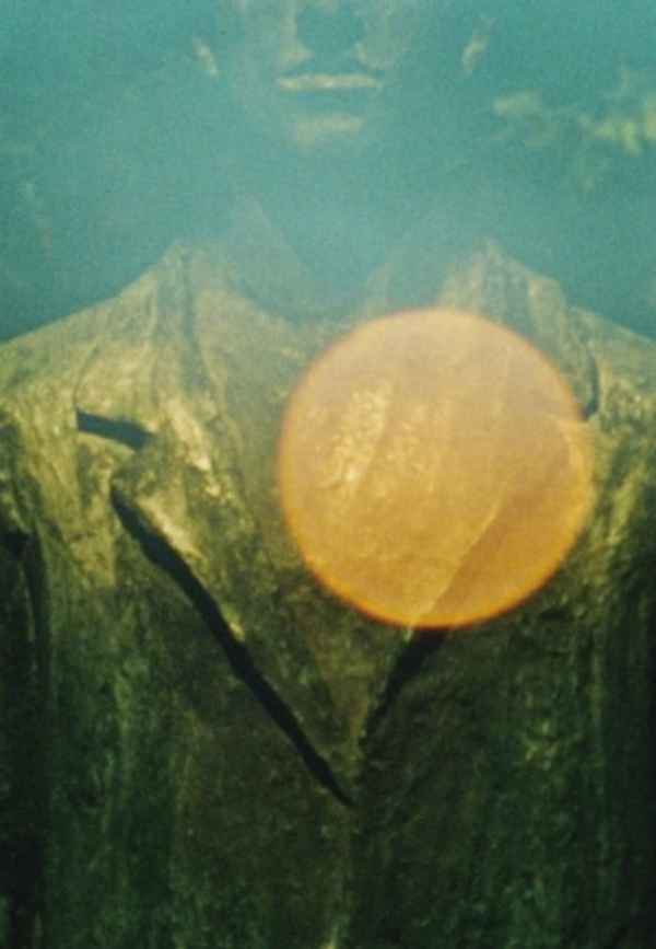 Seasonal Concerns Poster 2