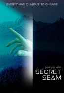 Secret Seam Poster 7
