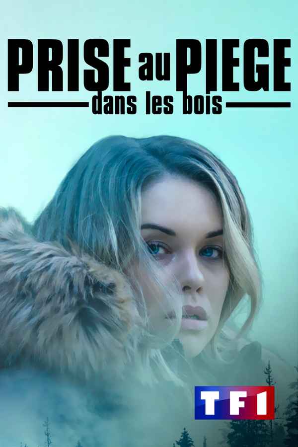 Secrets in the Wilderness Poster 2