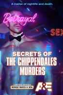 Secrets of the Chippendales Murders Poster 4