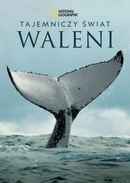 Secrets of the Whales Poster 6