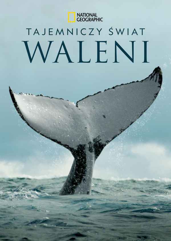 Secrets of the Whales Poster 6