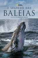 Secrets of the Whales Poster 7