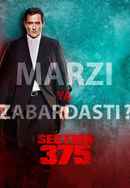 Section 375 Poster 3