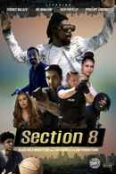 Section 8 Poster 2