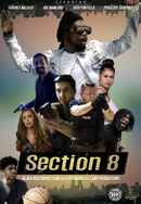 Section 8 Poster 3