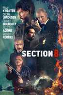 Section Eight Poster 5