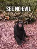See No Evil Poster 1