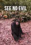 See No Evil Poster 6