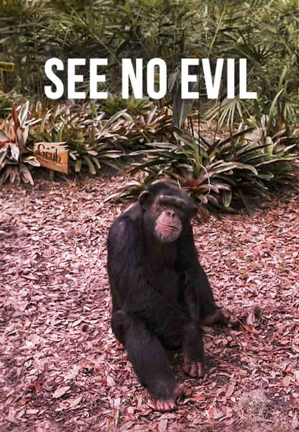 See No Evil Poster 6