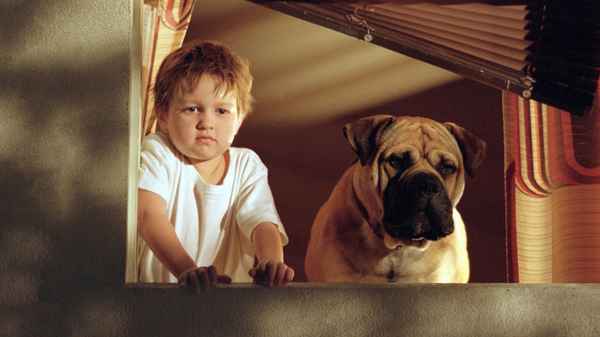 See Spot Run Poster 1