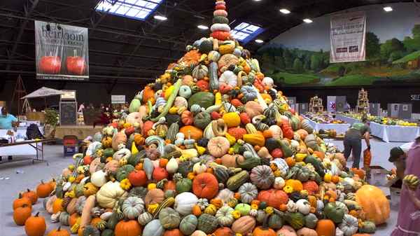 SEED: The Untold Story Poster 4