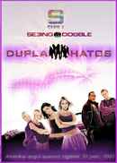 Seeing Double Poster 6