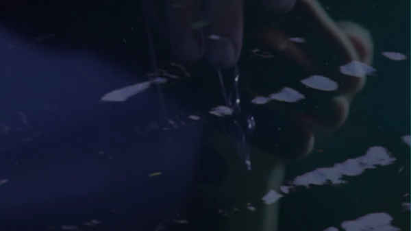 Seeing Through the Mists of Oblivion Poster 2