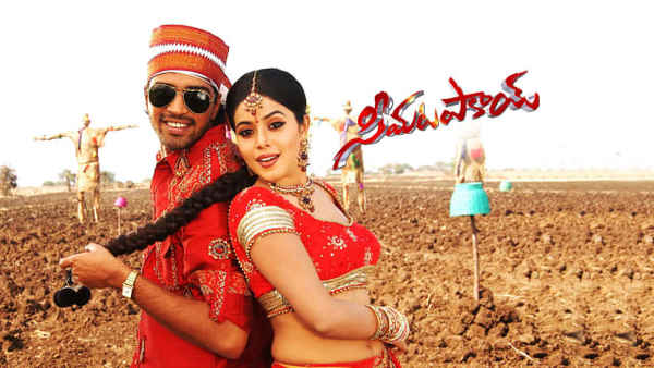 Seema Tapakai Poster 3