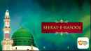 Seerat-E-Rasool Poster 6