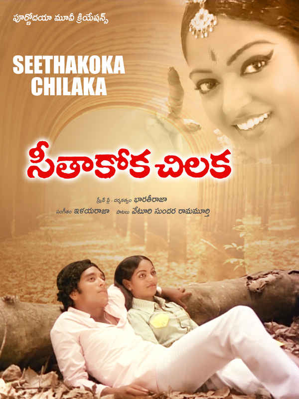 Seethakoka Chilaka Poster 3