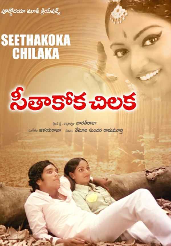 Seethakoka Chilaka Poster 7