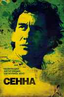 Senna Poster 6