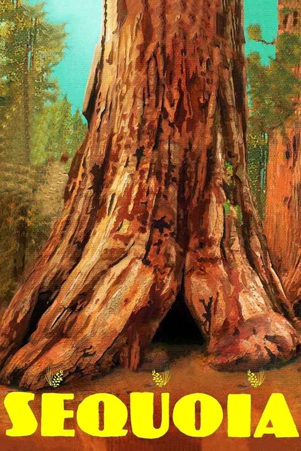 Sequoia Poster 3
