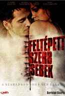 Serbian Scars Poster 1