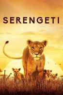 Serengeti Poster 6