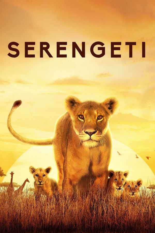 Serengeti Poster 6