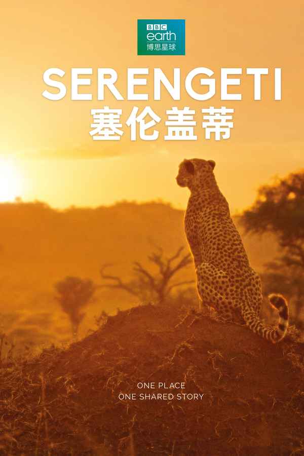 Serengeti Poster 5