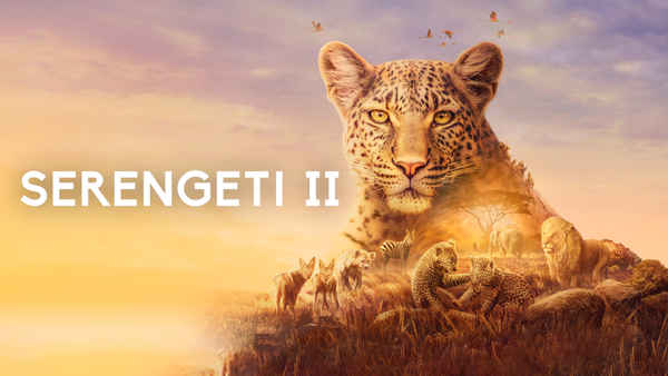 Serengeti Poster 1