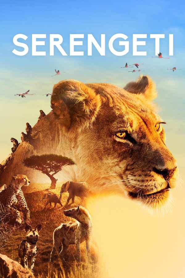 Serengeti Poster 7
