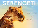 Serengeti Poster 5