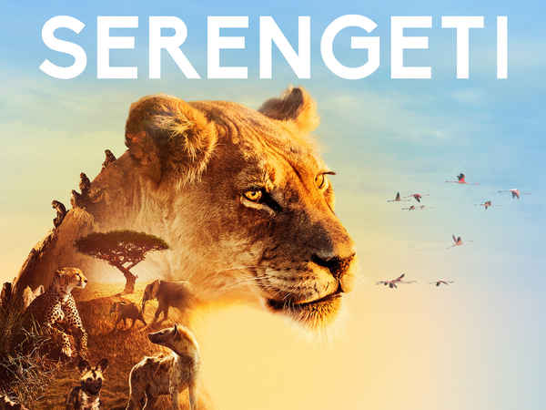 Serengeti Poster 5