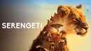 Serengeti Poster 2