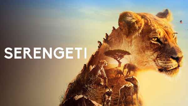 Serengeti Poster 4