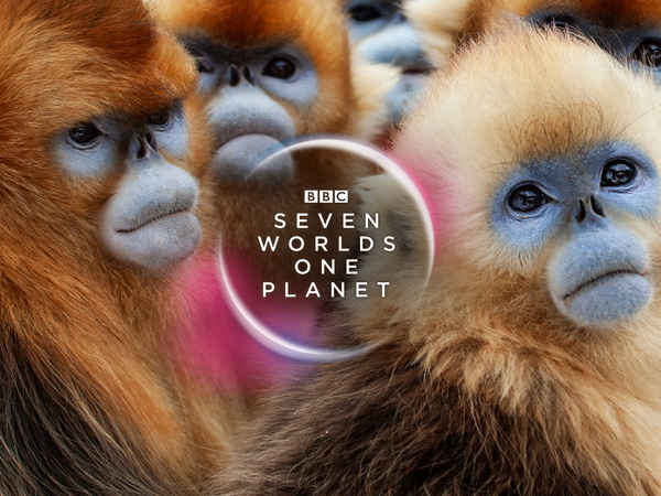 Seven Worlds, One Planet Poster 6