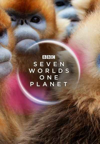 Seven Worlds, One Planet