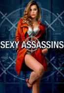 Sexy Assassins Poster 5